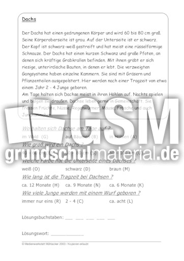Dachs.pdf